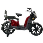 Manufacturers direct sales of cargo electric bicycle Bailing king with front pocket split folding rack electric vehicles